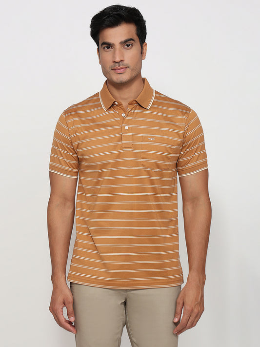 Colorplus Brown T-shirt