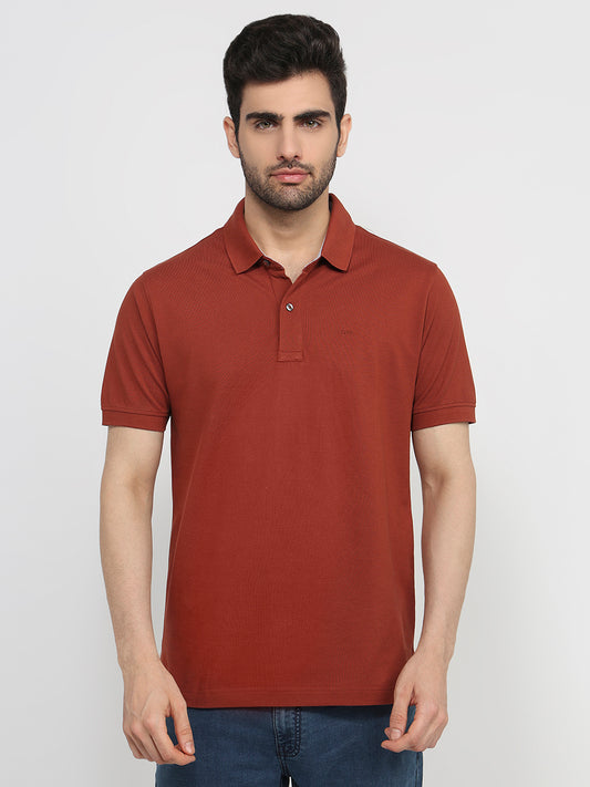 Colorplus Brown T-Shirt