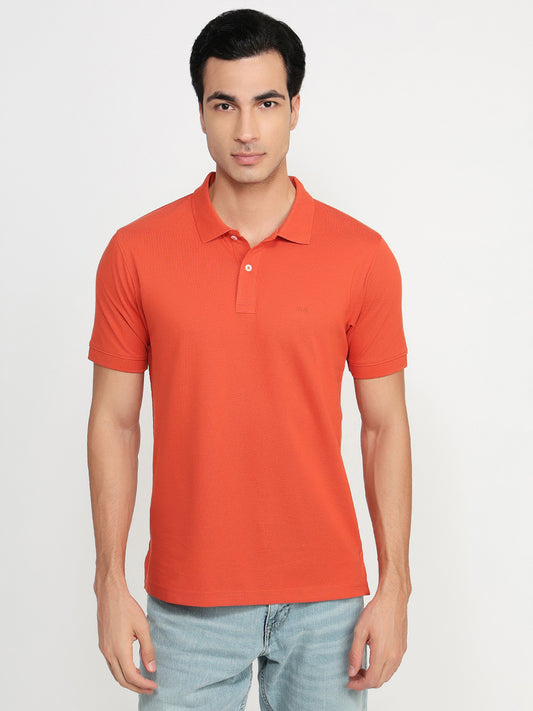 Colorplus Orange T-Shirt