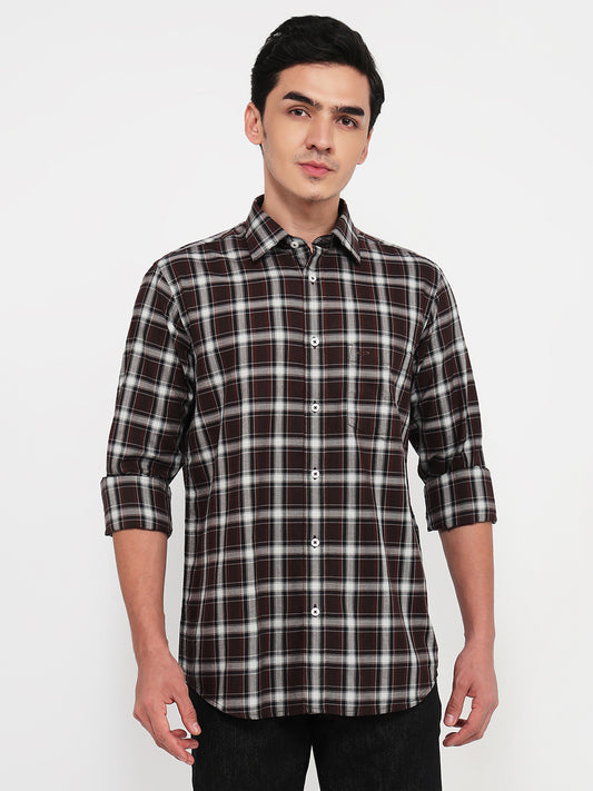 Colorplus Brown Shirt