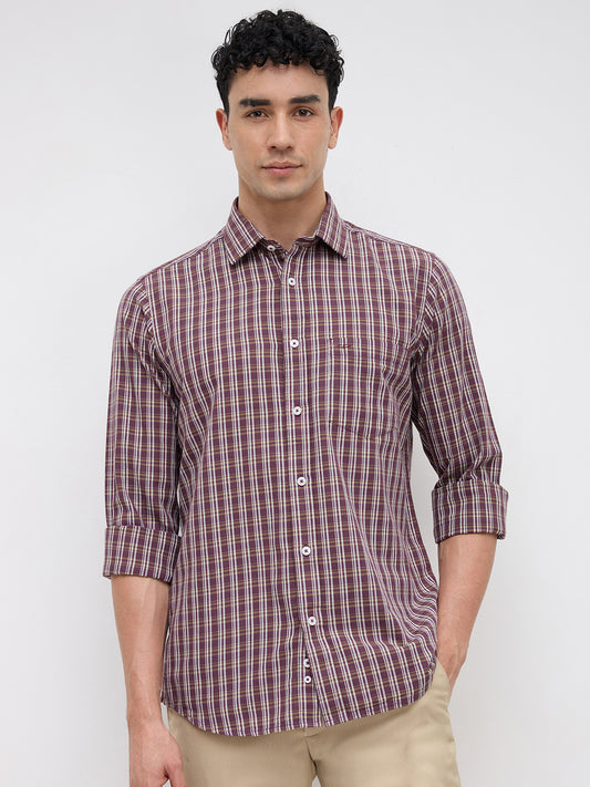 Colorplus Maroon Shirt 