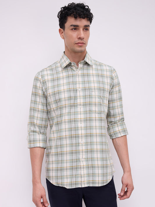 Colorplus Green Shirt 