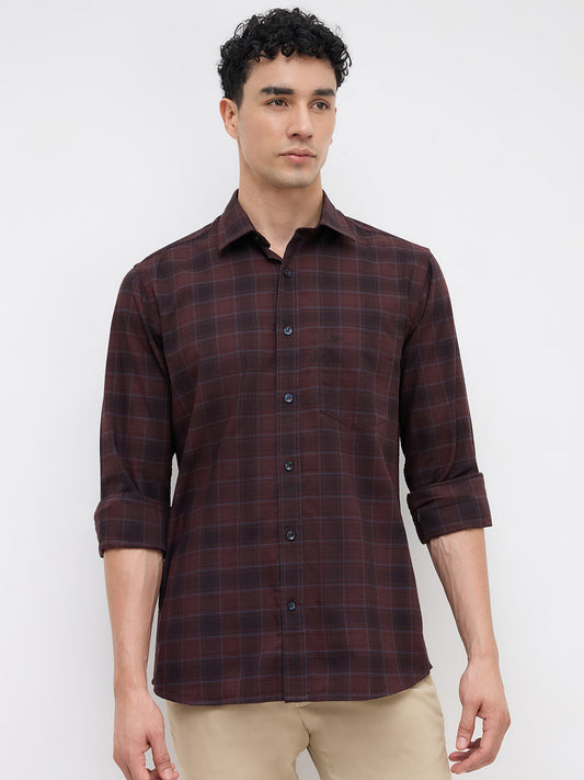 Colorplus Brown Shirt 