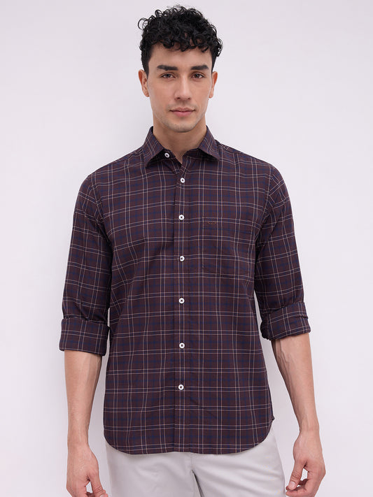 Colorplus Brown Shirt 