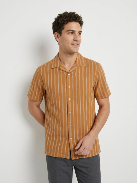 Colorplus Brown Casual Shirt