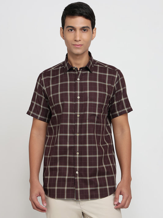 Colorplus Brown Shirt 