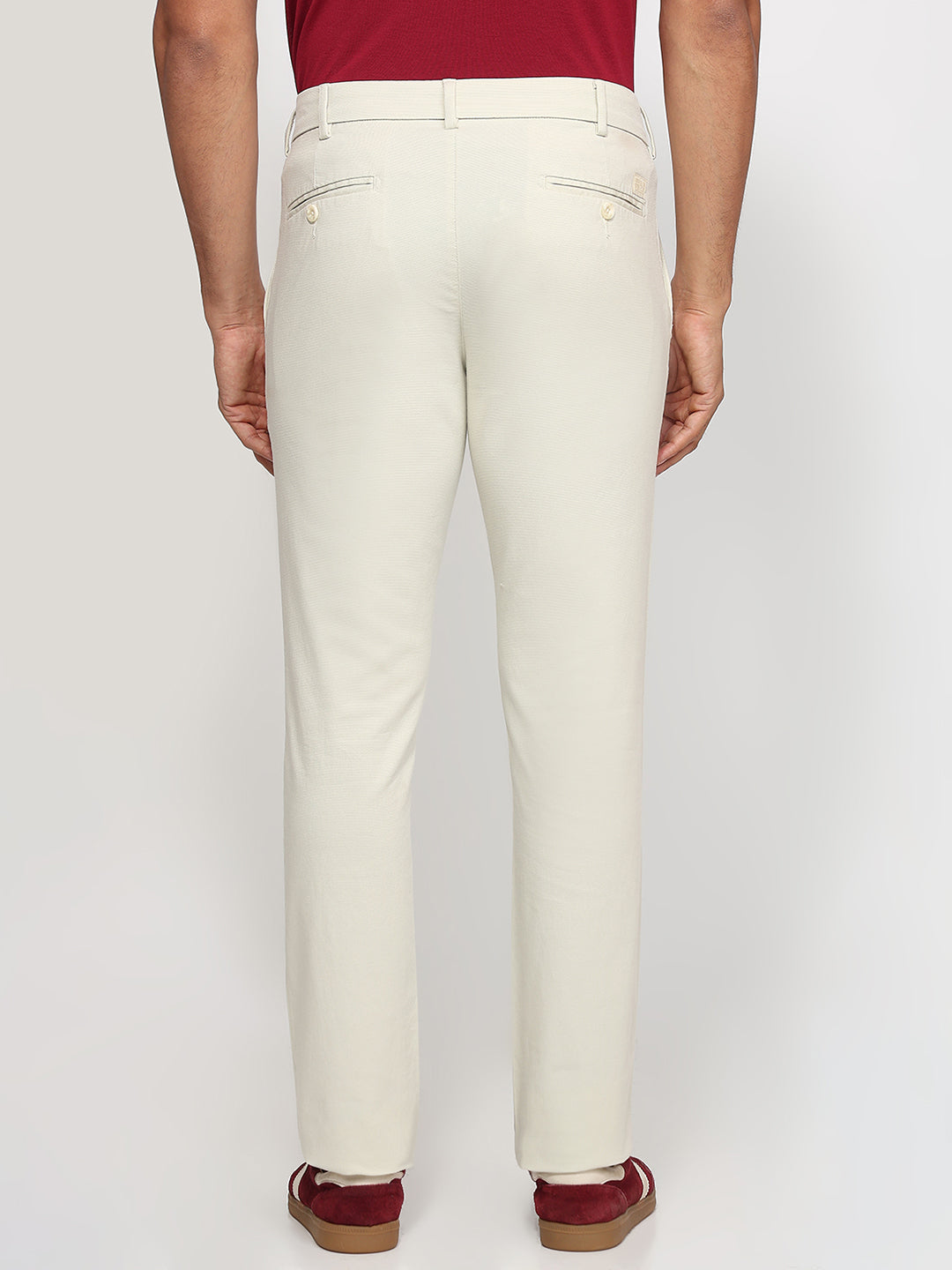 Colorplus Men Fawn Slim Fit Dobby Trouser – MyRaymond
