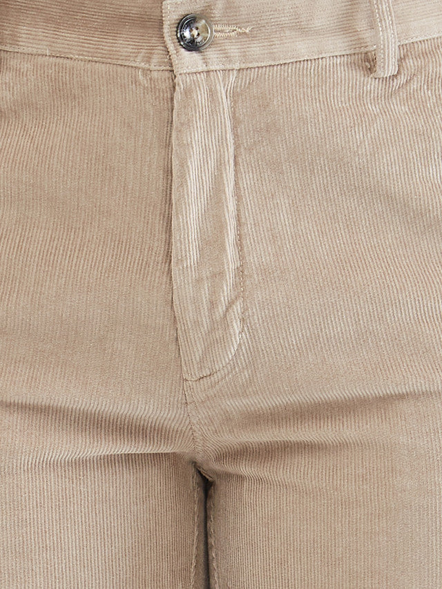 Colorplus Beige Solid Piece Dyed Regular Fit Cotton Trouser