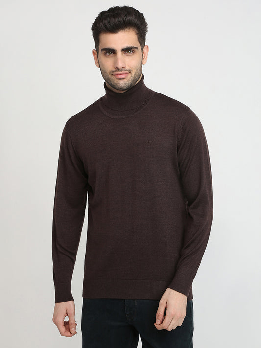 Colorplus Brown Sweater