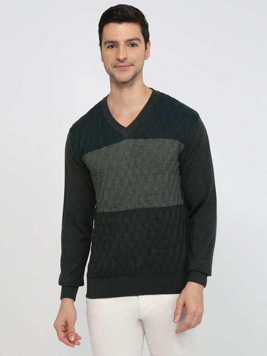 Colorplus Green Sweatshirt