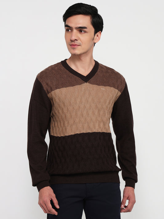Colorplus Brown Sweatshirt