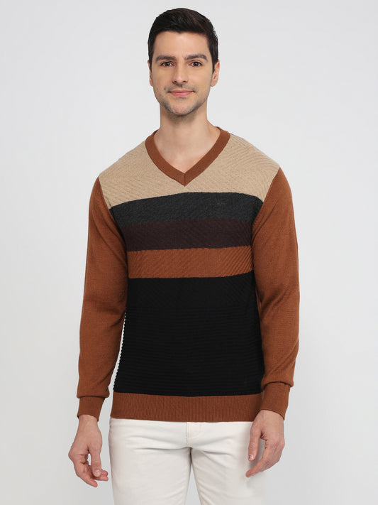 Colorplus Brown Sweatshirt