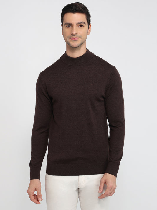 Colorplus Brown Sweatshirt