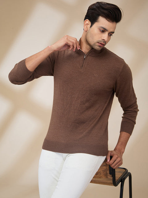 Colorplus Men Brown Plain Regular Fit Wool Blend Sweater