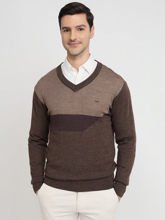 Colorplus Brown Sweatshirt