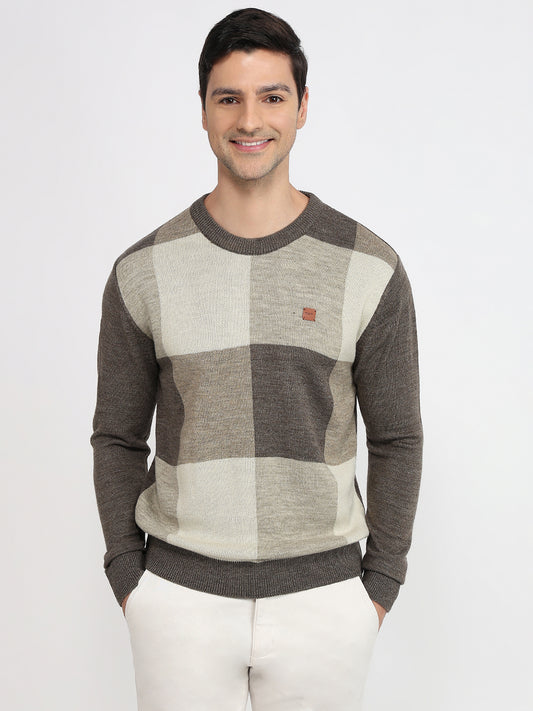 Colorplus Brown Sweatshirt