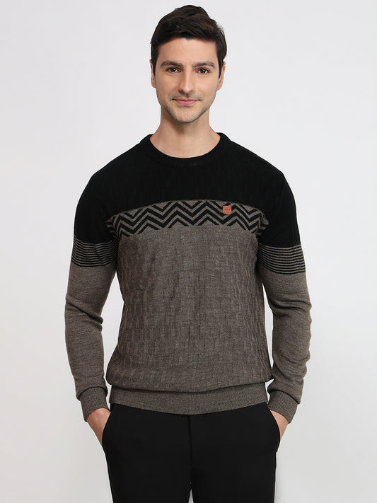 Colorplus Brown Sweatshirt