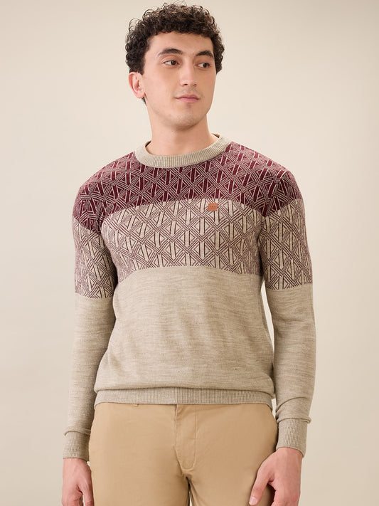 Colorplus Brown Sweatshirt