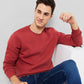 Colorplus Men Red Solid Regular Fit Cotton Blend Sweatshirt