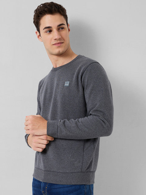 Colorplus Grey Sweatshirt