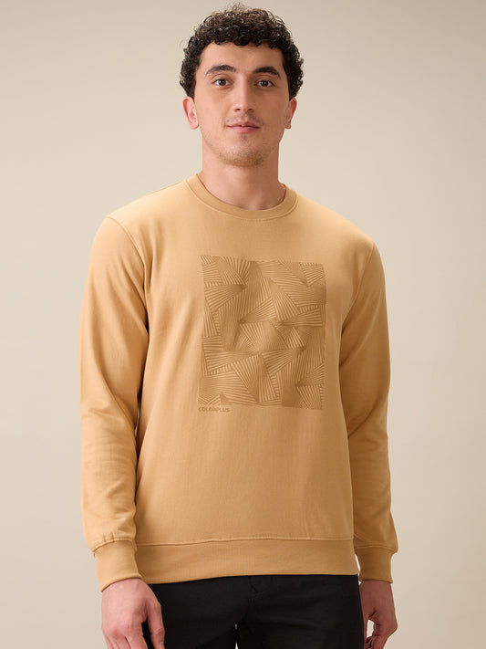 Colorplus Brown Sweatshirt