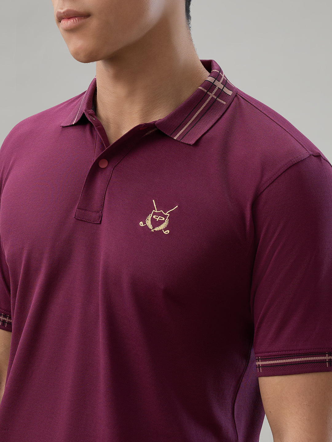 Colorplus Men Maroon Regular Fit Solid Polo Neck Collar T-shirt – MyRaymond