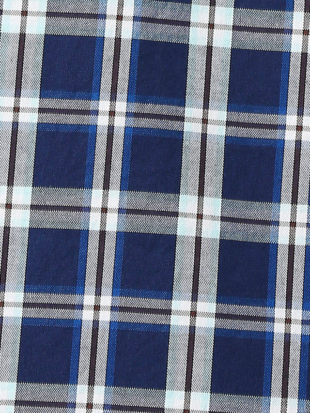 Park Avenue Blue Checks Slim Fit Cotton Casual Shirt