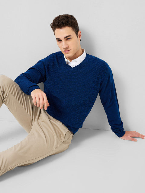 Park Avenue Men Blue Regular Fit Structure Sweater
