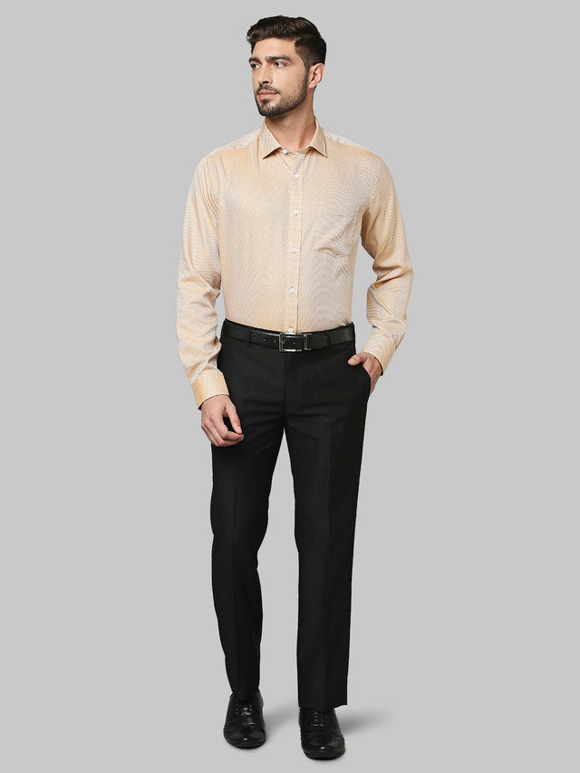 Park Avenue Beige Formal Shirt