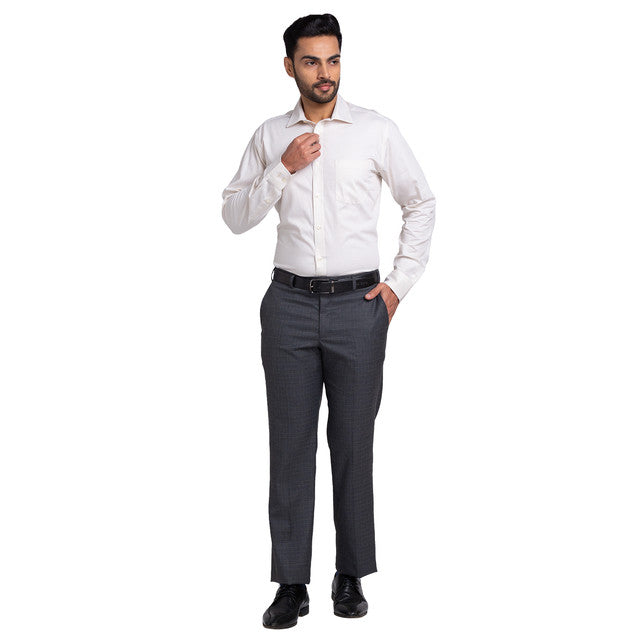 Park Avenue Beige Formal Shirt