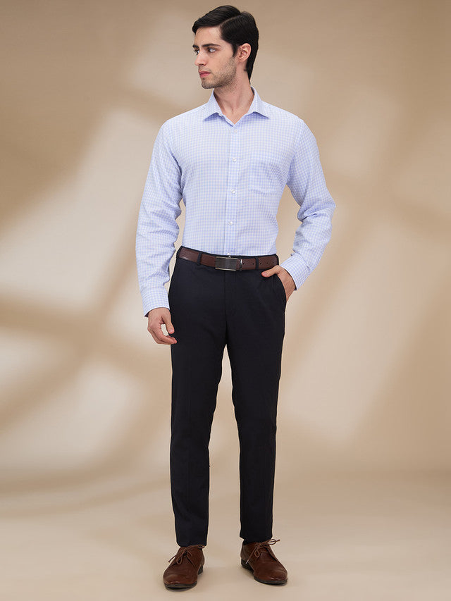 Park Avenue Men Blue Checks Regular Fit Cotton Formal Shirt