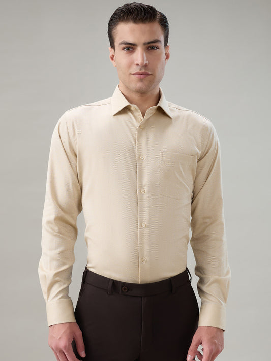 Park Avenue Brown Shirt