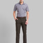 Park Avenue Grey Formal Shirt