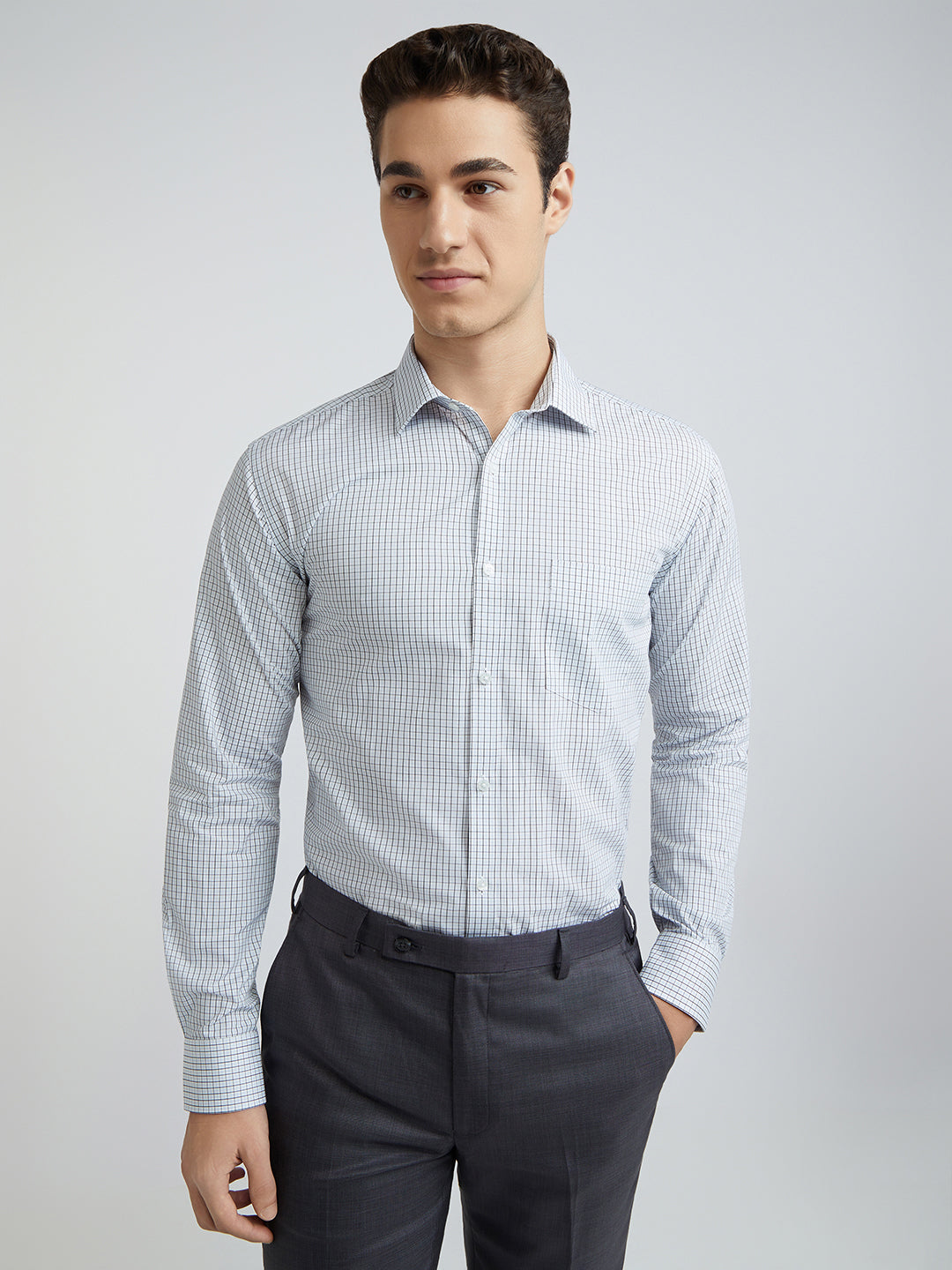 Park Avenue Blue Checks Slim Fit Cotton Formal Shirt