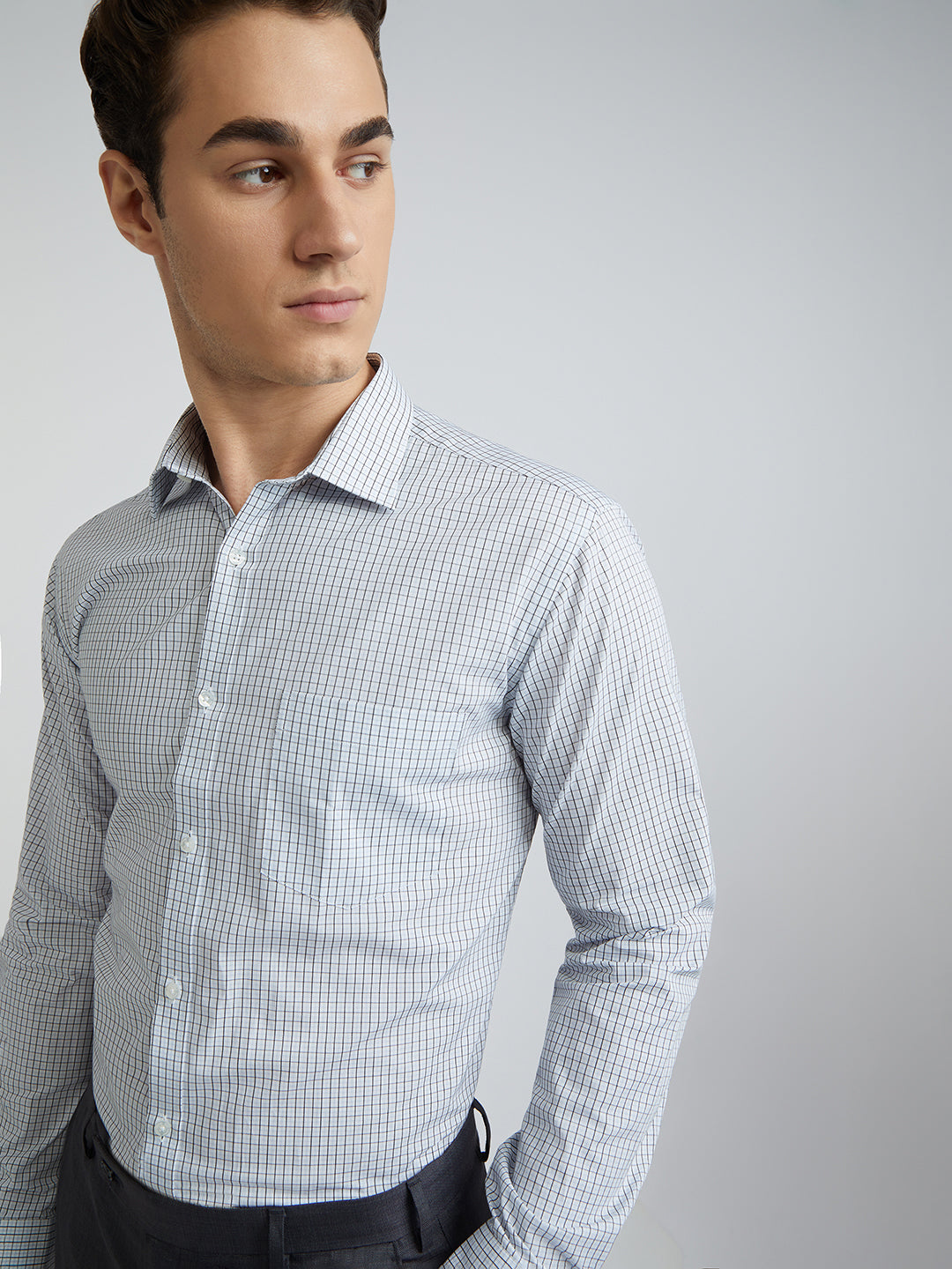 Park Avenue Blue Checks Slim Fit Cotton Formal Shirt