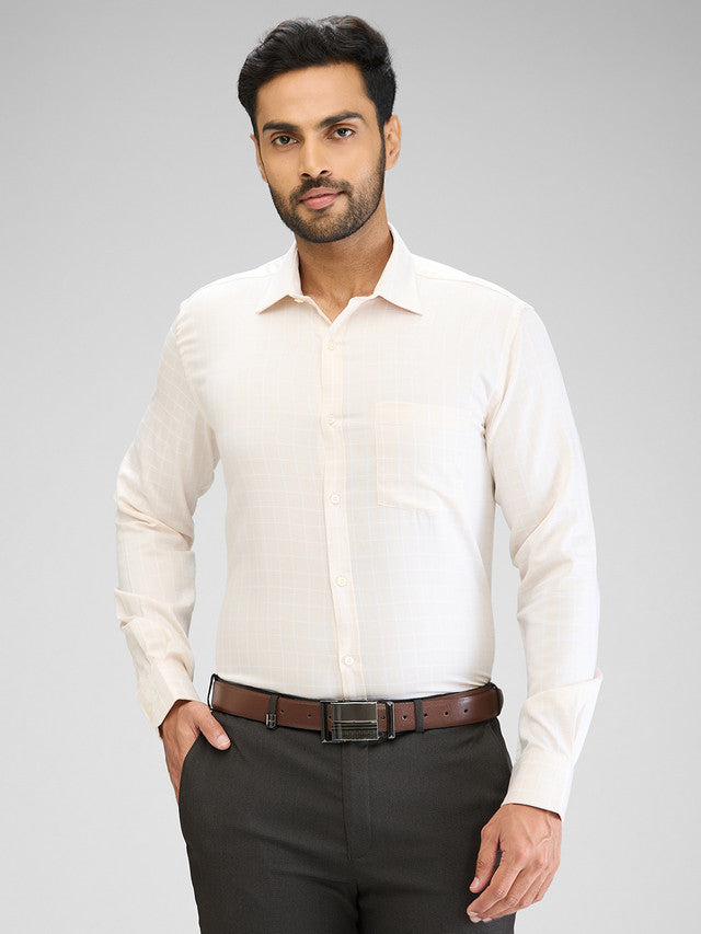 Park Avenue Beige Formal Shirt