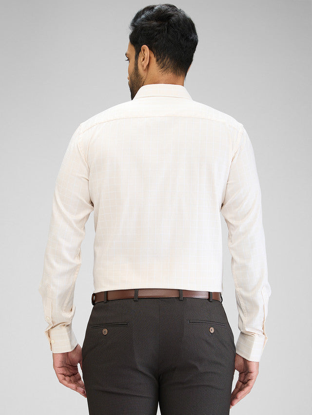 Park Avenue Beige Formal Shirt