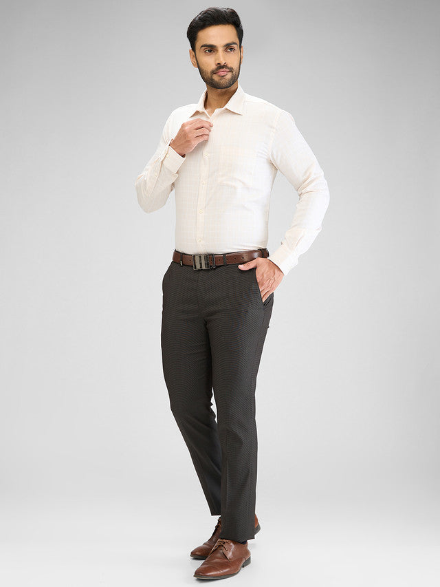 Park Avenue Beige Formal Shirt