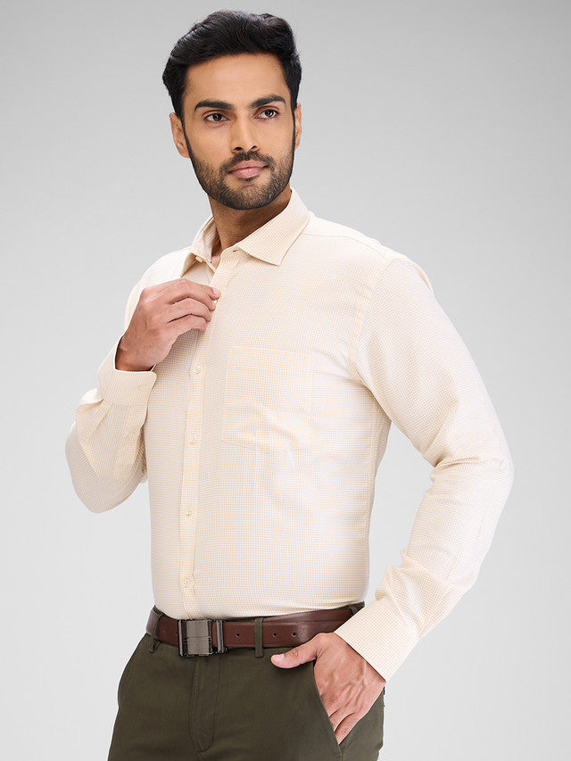 Park Avenue Beige Formal Shirt