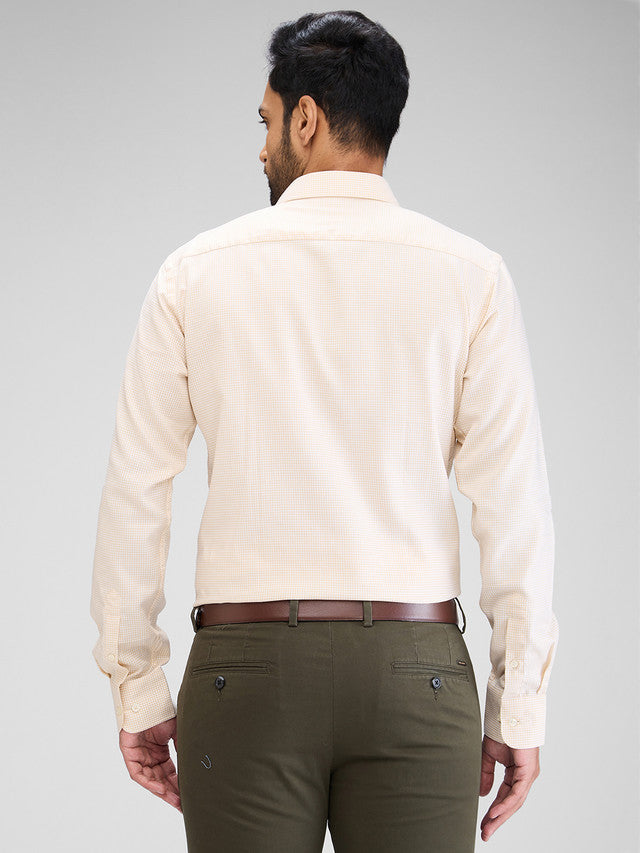 Park Avenue Beige Formal Shirt