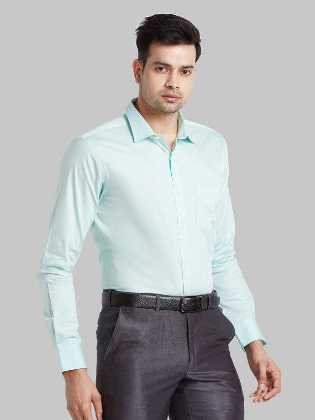 Park Avenue Blue Formal Shirt