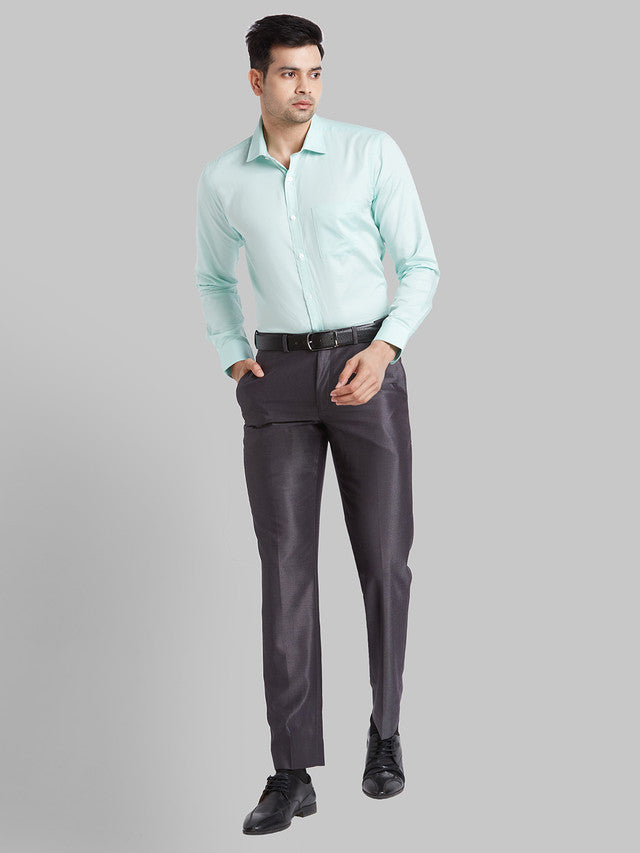 Park Avenue Blue Formal Shirt