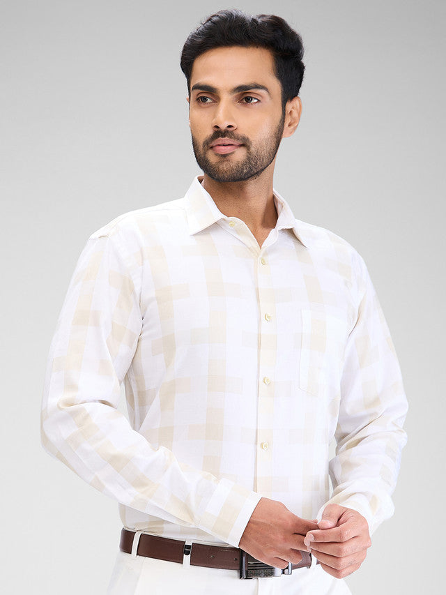 Park Avenue Beige Formal Shirt