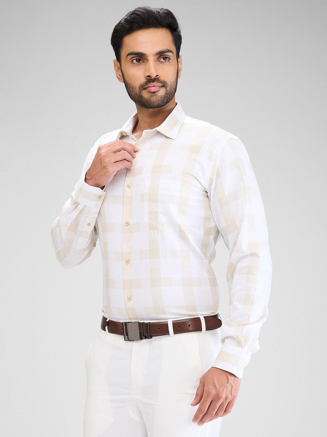 Park Avenue Beige Formal Shirt