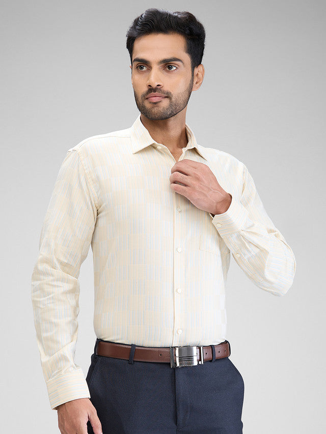 Park Avenue Beige Formal Shirt