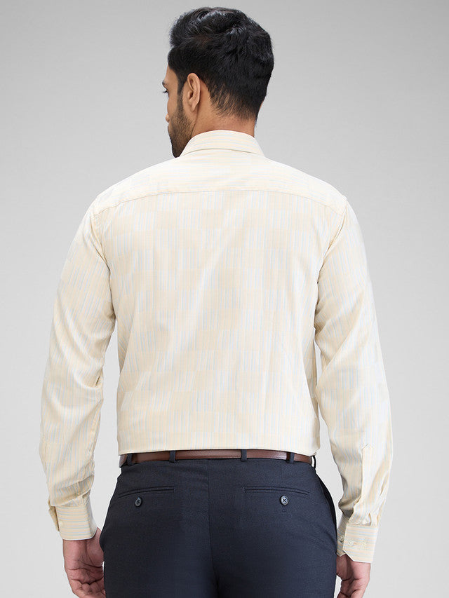 Park Avenue Beige Formal Shirt