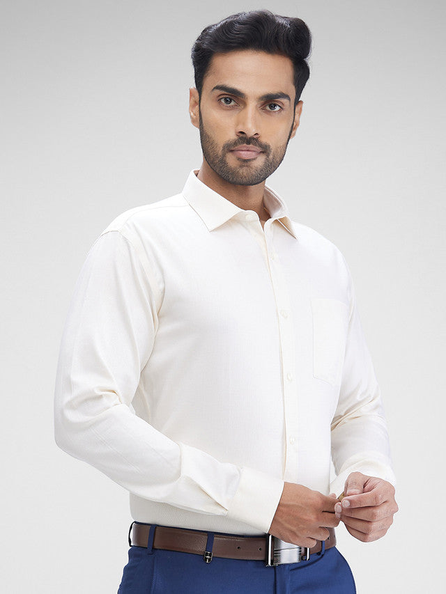 Park Avenue Beige Formal Shirt