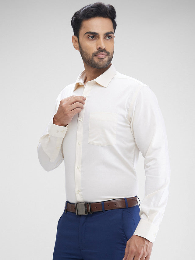 Park Avenue Beige Formal Shirt