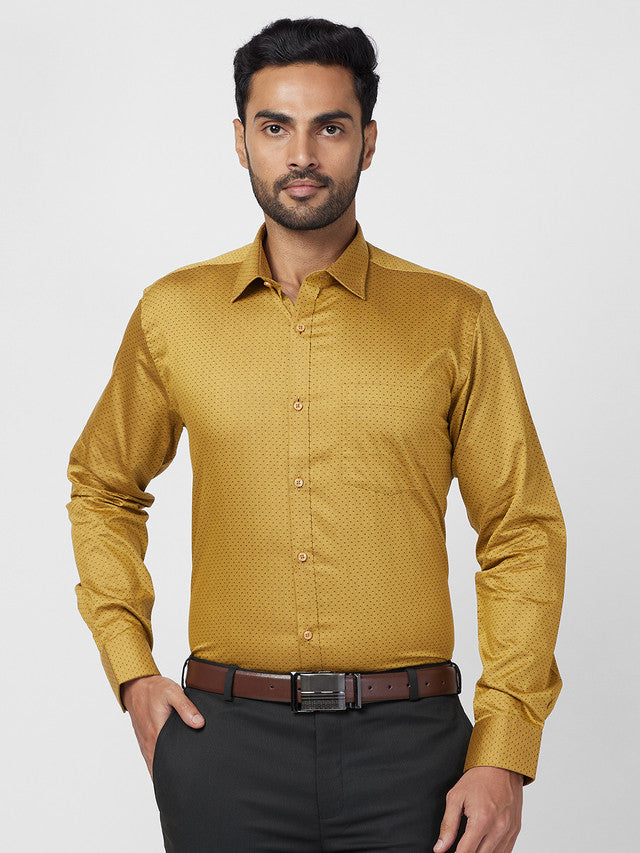 Park Avenue Beige Formal Shirt