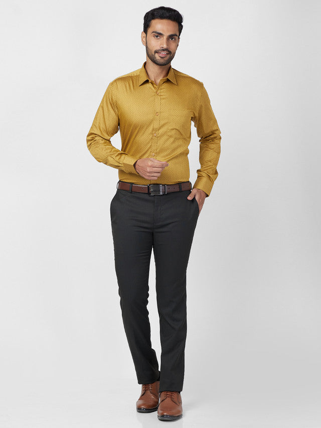 Park Avenue Beige Formal Shirt